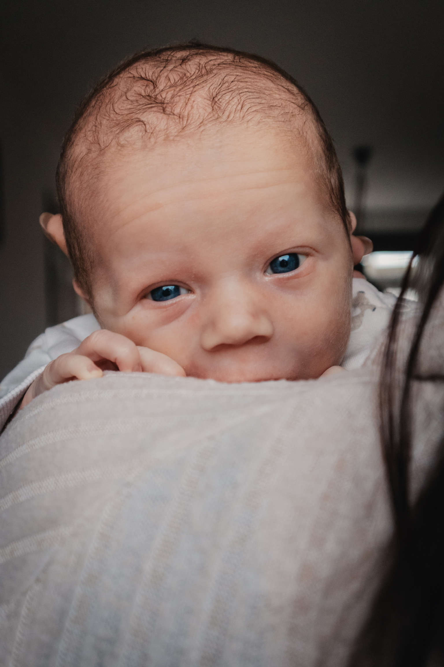 Newborn